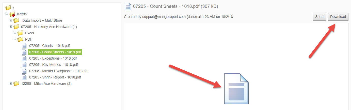 Online Report Access Downloading a File