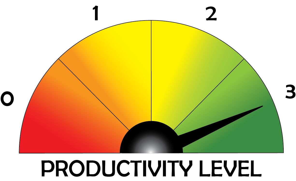 Productivity Level 3 Gauge